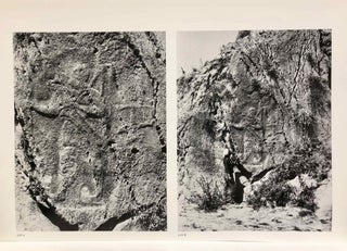 Altvorderasiatische Bildstelen und vergleichbare Felsreliefs. Mit einem Beitrag von Adelheid Shunnar-Misera. Text- und Tafelband (complete set)[newline]M7424b-14.jpg