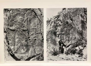 Altvorderasiatische Bildstelen und vergleichbare Felsreliefs. Mit einem Beitrag von Adelheid Shunnar-Misera. Text- und Tafelband (complete set)