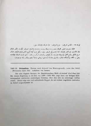 Alte Denkmaler aus Syrien, Palastina und Westarabien: 100 Tafeln mit beschreibendem Text[newline]M7439-10.jpg