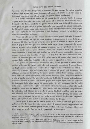 La vita di S. Ilarione ed il martirio di S. Ignazio vescovo d'Antiochia. Trascritti e tradotti dai Papiri Copti del Museo Egizio di Torino.[newline]M7442-06.jpeg