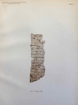 Griechische literarische Papyri. Band I: Ptolemaische Homerfragmente (all published)[newline]M7455-19.jpg
