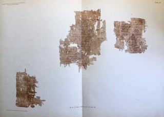 Griechische literarische Papyri. Band I: Ptolemaische Homerfragmente (all published)[newline]M7455-20.jpg