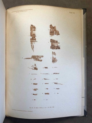 Griechische literarische Papyri. Band I: Ptolemaische Homerfragmente (all published)[newline]M7455-21.jpg