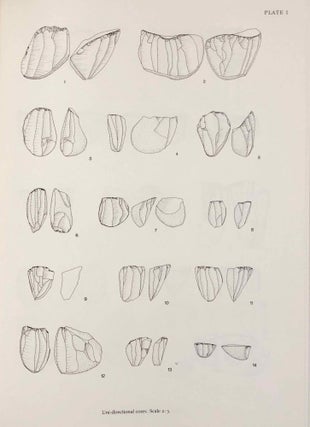 Maadi. I: The Pottery of the Predynastic Settlement. II: The Lithic Industries of the Predynastic Settlement. III: The Non-Lithic Small Finds and the Structural Remains of the Predynastic Settlement.[newline]M7457-13.jpg