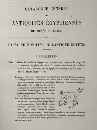 La faune momifiée de l'antique Egypte (Catalogue Général du Musée du Caire)[newline]M7471-05.jpg