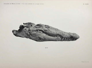 La faune momifiée de l'antique Egypte (Catalogue Général du Musée du Caire)[newline]M7471-11.jpg
