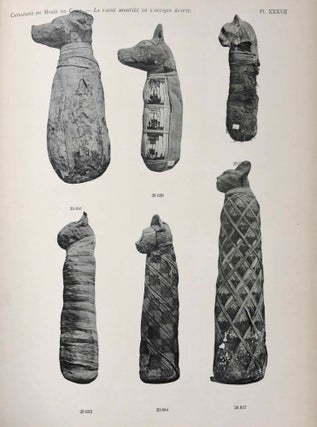La faune momifiée de l'antique Egypte (Catalogue Général du Musée du Caire)[newline]M7471-12.jpg