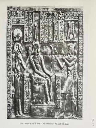 Le temple de Deir Chelouit. Volume I (1-55): Inscriptions du propyl&ocirc;ne et de la porte du temple. Volume II (56-89): Inscriptions du pronaos. Volume III (90-157): Inscriptions du naos. Volume IV: Etude architecturale (complete set)[newline]M7472f-13.jpeg
