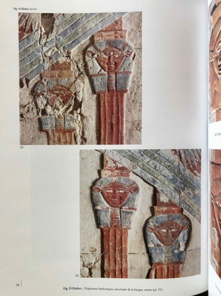 Temple d'Hatchepsout à Deir el-Bahari. La chapelle d'Hathor. Vol. I: Vestibule et sanctuaires (in 3 parts). Vol. II: Façade et salles hypostyles (complete set)[newline]M7473a-20.jpg