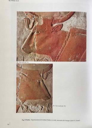 Temple d'Hatchepsout à Deir el-Bahari. La chapelle d'Hathor. Vol. I: Vestibule et sanctuaires (in 3 parts). Vol. II: Façade et salles hypostyles (complete set)[newline]M7473a-21.jpg