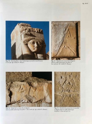 Temple d'Hatchepsout à Deir el-Bahari. La chapelle d'Hathor. Vol. I: Vestibule et sanctuaires (in 3 parts). Vol. II: Façade et salles hypostyles (complete set)[newline]M7473a-29.jpg
