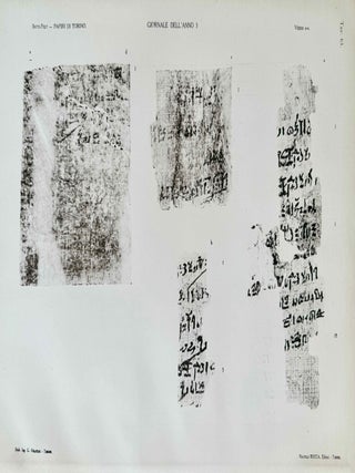 Il giornale della necropoli di Tebe. I papiri ieratici del Museo di Torino (complete in 3 parts)