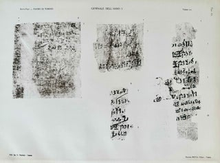 Il giornale della necropoli di Tebe. I papiri ieratici del Museo di Torino (complete in 3 parts)