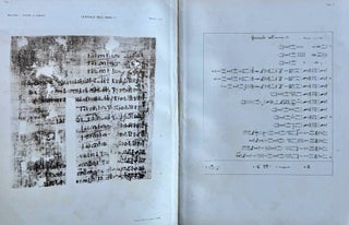 Il giornale della necropoli di Tebe. I papiri ieratici del Museo di Torino (complete in 3 parts)