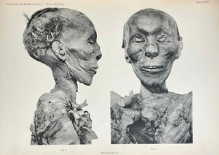 The Royal Mummies (Catalogue Général du Musée du Caire, Nos 61051-61100)[newline]M7544a-17.jpeg