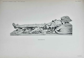 The Royal Mummies (Catalogue Général du Musée du Caire, Nos 61051-61100)[newline]M7544a-20.jpeg