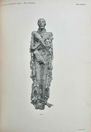 The Royal Mummies (Catalogue Général du Musée du Caire, Nos 61051-61100)[newline]M7544a-21.jpeg