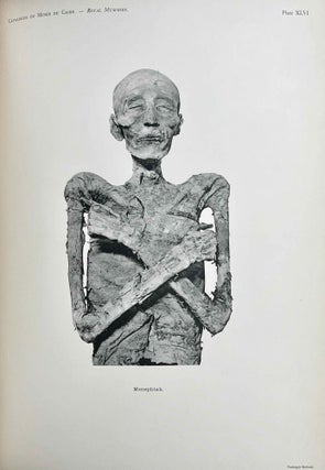 The Royal Mummies (Catalogue Général du Musée du Caire, Nos 61051-61100)[newline]M7544a-25.jpeg