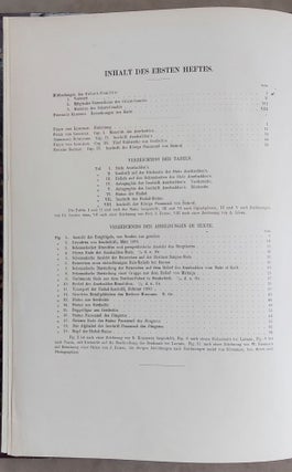 Ausgrabungen in Sendschirli. I: Einleitung und Inschriften. II: Ausgrabungsbericht und Architektur.[newline]M7565-02.jpeg