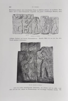 Ausgrabungen in Sendschirli. I: Einleitung und Inschriften. II: Ausgrabungsbericht und Architektur.[newline]M7565-15.jpeg