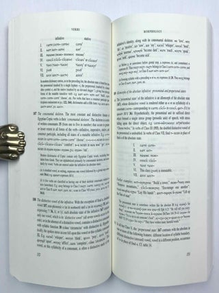 A Coptic Grammar with Chrestomathy and Glossary, Sahidic Dialect[newline]M7611a-07.jpeg