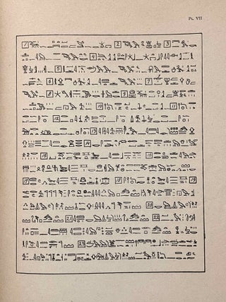 De hymnen aan Amon van Papyrus Leiden I, 350[newline]M7615-12.jpeg