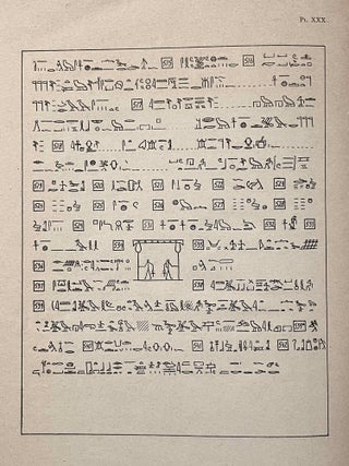 De hymnen aan Amon van Papyrus Leiden I, 350[newline]M7615-13.jpeg