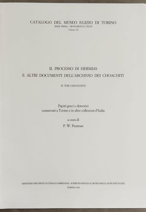 Il processo di Hermias e altri documenti dell'archivio dei choachiti (P. Tor. Choachiti). Papiri greci e demotici conservati a Torino e in altre collezione d'Italia.[newline]M7635-01.jpeg