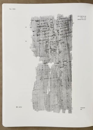 Il processo di Hermias e altri documenti dell'archivio dei choachiti (P. Tor. Choachiti). Papiri greci e demotici conservati a Torino e in altre collezione d'Italia.[newline]M7635-07.jpeg