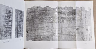 Il processo di Hermias e altri documenti dell'archivio dei choachiti (P. Tor. Choachiti). Papiri greci e demotici conservati a Torino e in altre collezione d'Italia.[newline]M7635-08.jpeg