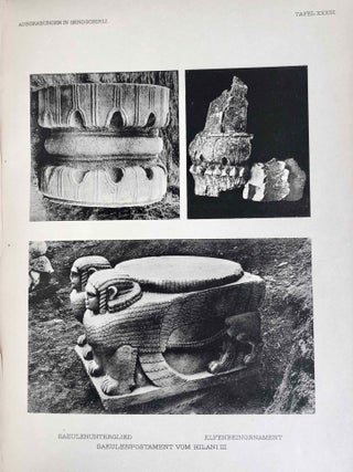 Ausgrabungen in Sendschirli. III. Thorsculpturen[newline]M7655b-15.jpeg