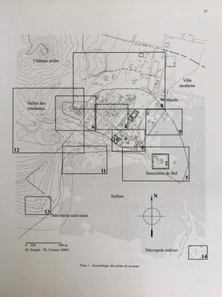 Inscriptions grecques et latines de la Syrie. Tome XVII. Fascicule 1: Palmyre.[newline]M7697b-09.jpeg