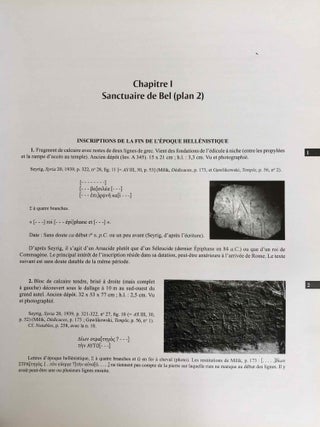 Inscriptions grecques et latines de la Syrie. Tome XVII. Fascicule 1: Palmyre.[newline]M7697b-10.jpeg