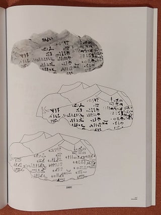 Catalogue des ostraca hi&eacute;ratiques non litt&eacute;raires de Deir el-Medineh. X. 10001-10123
