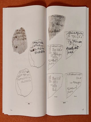 Catalogue des ostraca hi&eacute;ratiques non litt&eacute;raires de Deir el-Medineh. X. 10001-10123