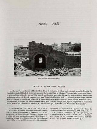 Inscriptions grecques et latines de la Syrie. Tome XIV: La Batanée et le Jawlân oriental. Vol. 1 & 2 (complete set)[newline]M7802-06.jpeg