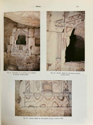 Les Peintures des Nécropoles Romaines d'Abila et du Nord de la Jordanie. Vol. I: Texte. Vol. II: Album (complete set)[newline]M7805-10.jpeg