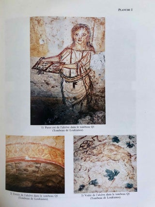 Les Peintures des Nécropoles Romaines d'Abila et du Nord de la Jordanie. Vol. I: Texte. Vol. II: Album (complete set)[newline]M7805-18.jpeg