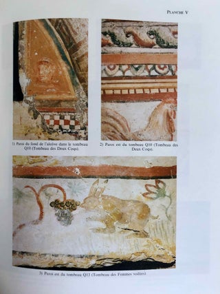 Les Peintures des Nécropoles Romaines d'Abila et du Nord de la Jordanie. Vol. I: Texte. Vol. II: Album (complete set)[newline]M7805-19.jpeg