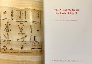 The Art of Medicine in Ancient Egypt[newline]M7834-01.jpeg