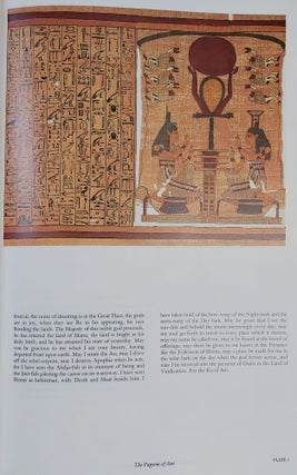 The Egyptian Book of the Dead: The Book of Going Forth by Day Being the Papyrus of Ani (Royal Scribe of the Divine Offerings) written and illustrated circa 1250 B.C.E., by scribes and artists unknown. Including the Balance of Chapters of the Books of the Dead known as the Theban Recension, compiled from Ancient Texts, dating back to the roots of Egyptian Civilization.[newline]M7886-04.jpeg