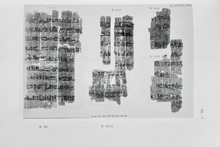 Le voyage de la déesse libyque. Ein Text aus dem "Mutritual" des Pap. Berlin 3053.