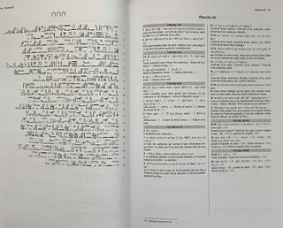 Le texte médical du Papyrus Ebers: transcription hiéroglyphique, translittération, traduction, glossaire et indexr.[newline]M8113a-04.jpeg