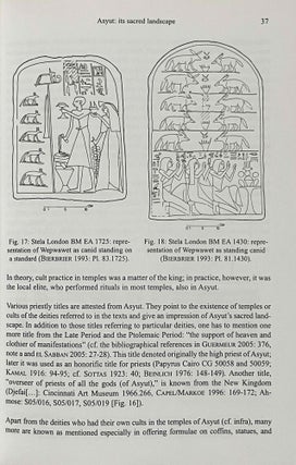 Ancient Asyut. The First Synthesis after 300 Years of Research.[newline]M8118-06.jpeg