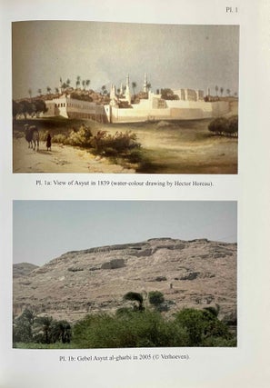 Ancient Asyut. The First Synthesis after 300 Years of Research.