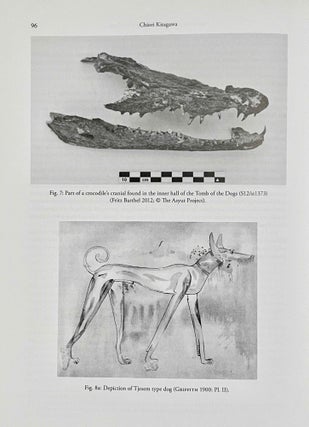 The Tomb of the Dogs at Asyut: Faunal Remains and Other Selected Objects[newline]M8120-05.jpeg