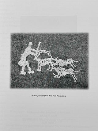 Desert RATS. Rock Art Topographical Survey in Egypt's Eastern Desert: site catalogue[newline]M8127-02.jpeg