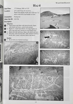 Desert RATS. Rock Art Topographical Survey in Egypt's Eastern Desert: site catalogue[newline]M8127-07.jpeg