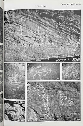 Desert RATS. Rock Art Topographical Survey in Egypt's Eastern Desert: site catalogue[newline]M8127-08.jpeg