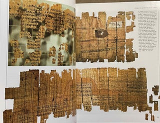 Il Museo egizio di Torino - Guida alla lettura di una civiltà[newline]M8131-05.jpeg